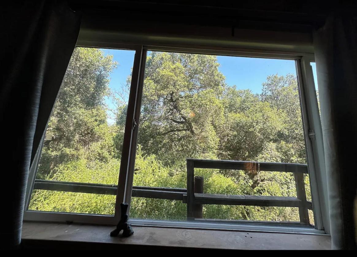 Villa Japanese Tea House With Private Mountain Trails And Creek Topanga Park Esterno foto