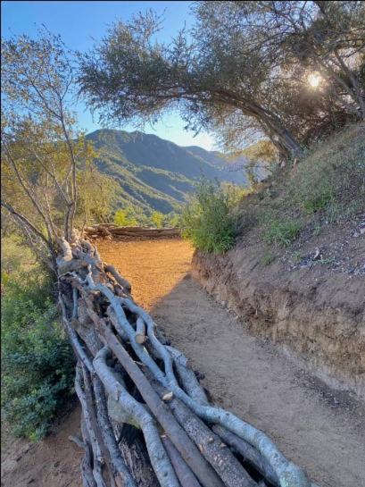 Villa Japanese Tea House With Private Mountain Trails And Creek Topanga Park Esterno foto