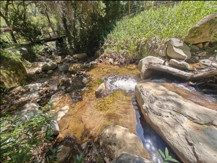 Villa Japanese Tea House With Private Mountain Trails And Creek Topanga Park Esterno foto